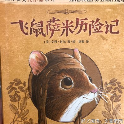 《飞鼠传奇》经典读后感有感
