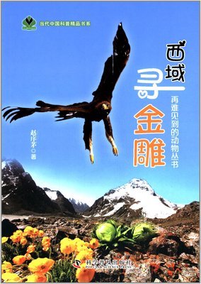 西域寻金雕读后感精选