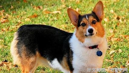 猝不及防的名句_关于猝不及防的名句