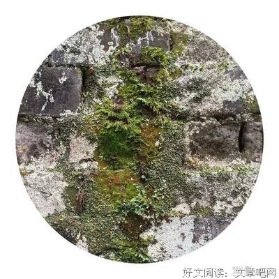小城池的读后感大全