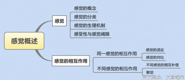 《认知心理学（第三版）（万千心理）》读后感锦集