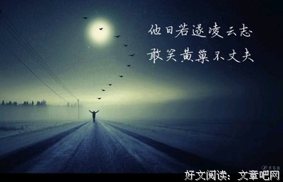 描写无怨无悔的经典句子