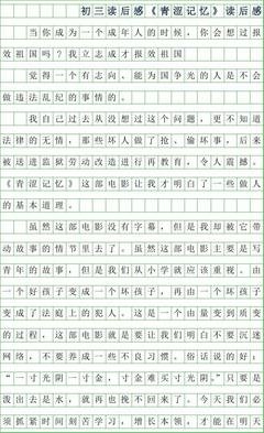 《中国记忆，1966》读后感精选
