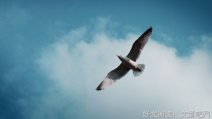 伟大的探险家读后感锦集