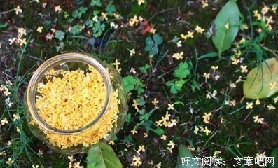 《诗人当自强》经典影评有感