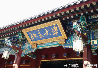 《大海捞针: 张益唐与孪生素数猜想》观后感100字