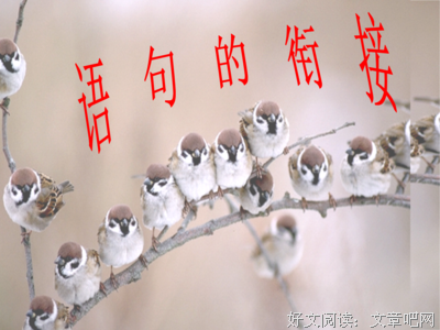 旅人的优美句子