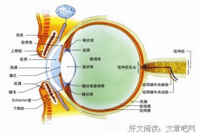 故也能生想国要长 你样物眼第慢慢听（影视）好词好句