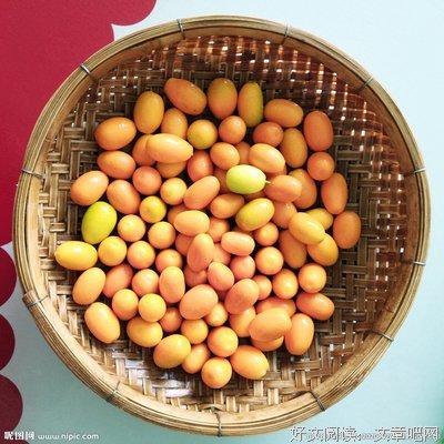 有关小桔子句集的句子