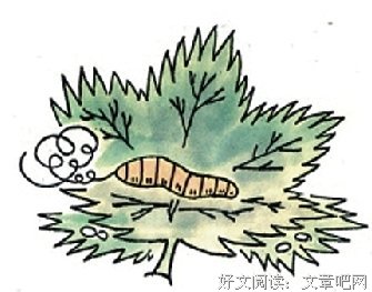 阮俊凯句子大全