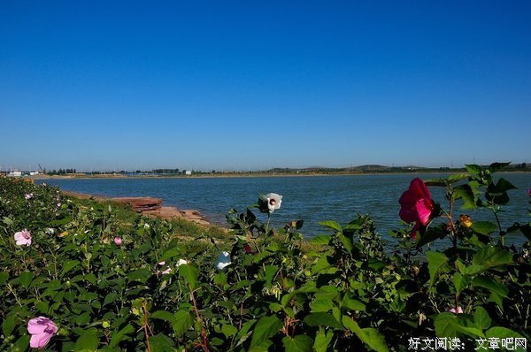 自地那气日一句句子大全