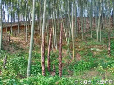 嗔念。的句子
