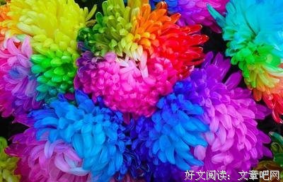 癫狂的光明优美的句子