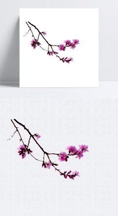 议论文写作素材优美的句子