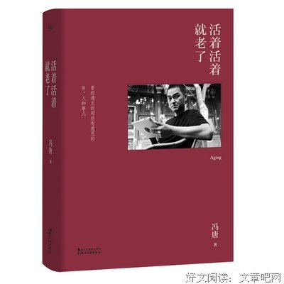 冯唐优美的句子