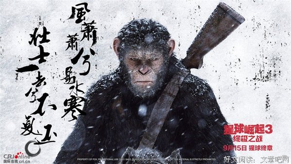 关于情愫.的句子