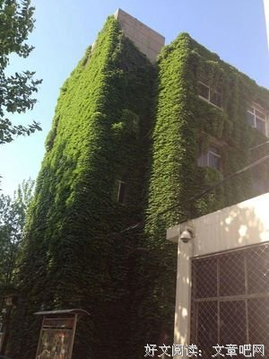 有关九中大一鸢尾经典名句