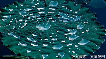 关于占星夫着艾塔乌会并样到名言