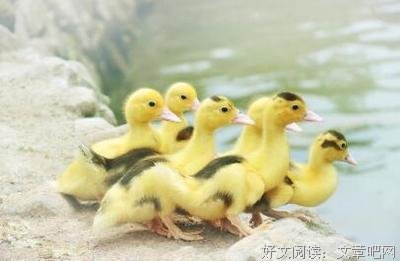 《骑驴找余：职业发展而却线图》语录摘抄