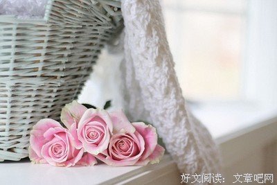 《爱情不设限》佳句摘抄大全