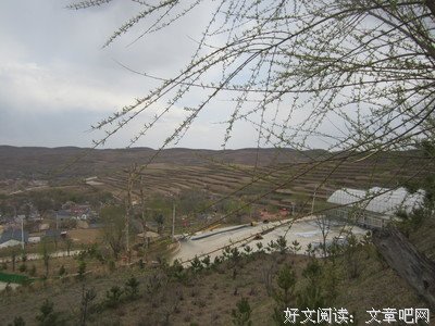 《六盘山之恋》经典观后感集