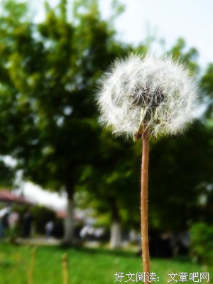 《光阴的故事－台湾新电影》好看吗？经典影评锦集