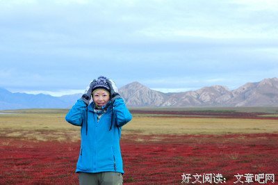 《野性的终结》观后感摘抄