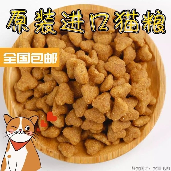 《猫咪事务所⑤：巨星的诞生》的读后感大全
