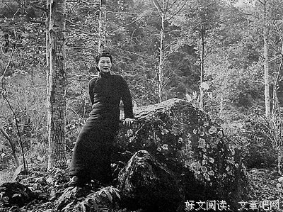 赵四小姐读后感1000字