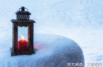 《我是一只骆驼》读后感100字