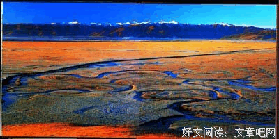 葬礼之后的读后感大全