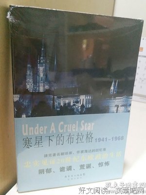寒星下的布拉格读后感精选