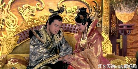 《兰陵王妃》读后感1000字