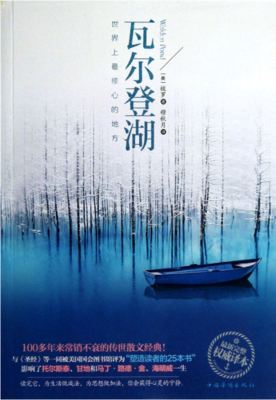 寂寞的十七岁读后感100字