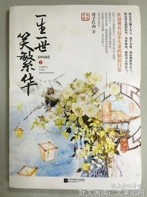 一生一世笑繁华终结篇（全三册）经典读后感有感
