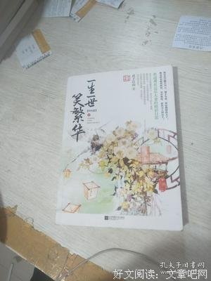 《一生一世笑繁华终结篇（全三册）》读后感精选