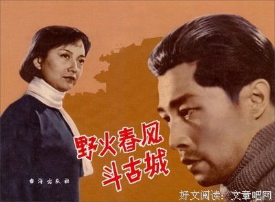 《野火》好看吗？经典观后感锦集