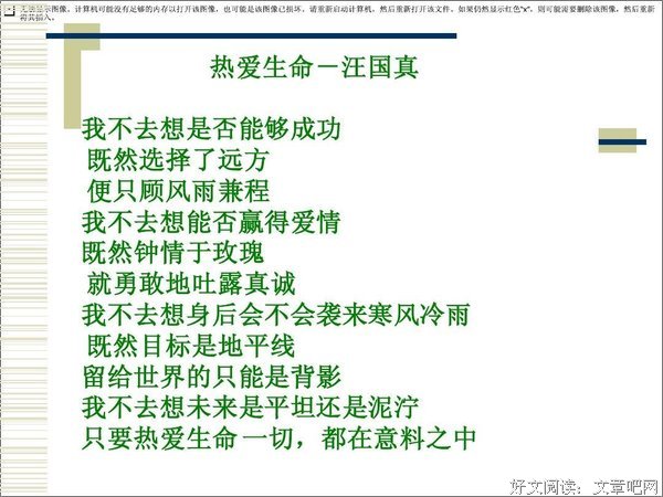 《热爱》影评100字