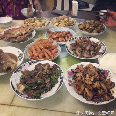 我们的年家发句子