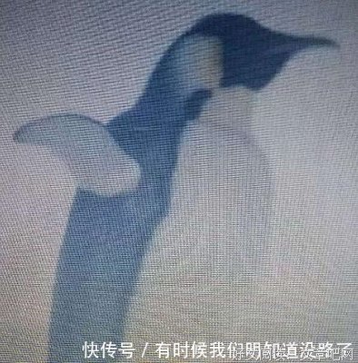 《变象记》好看吗？经典观后感锦集