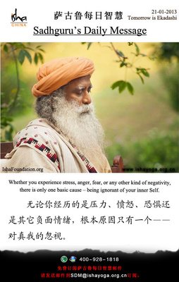 萨古鲁的句子