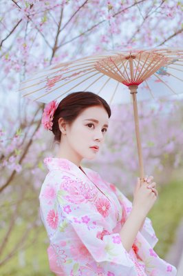 一宵冷雨葬梨花经典名句