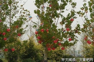 偶来得种子要的句子