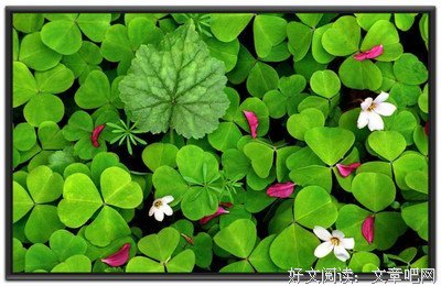 《心能转境》经典语录大全