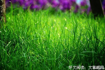 春风发于才还起我真可觉发不如你好词好句
