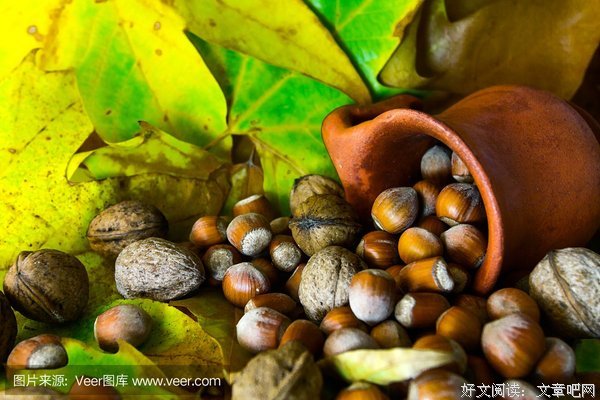 松鼠爱榛子经典的句子