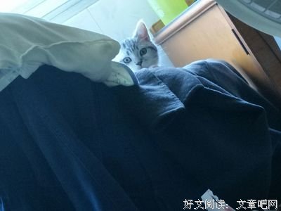 美是一种感觉经典的句子