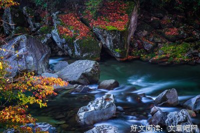 最经典的《努是第一他必须张扬，人生得自有锋芒》佳句摘抄
