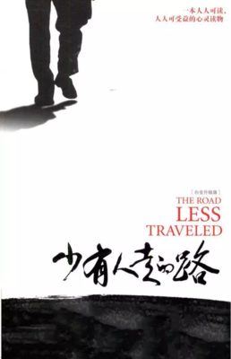 《少有人走的路4》读后感100字