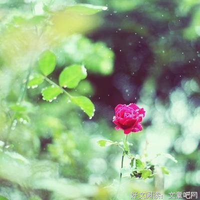 无微不至的语句摘抄_关于无微不至的语句
